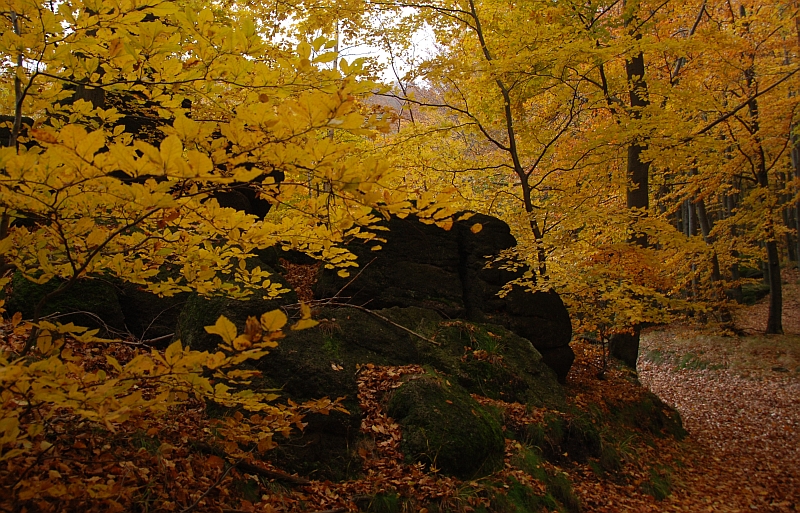 Oldřichov 2